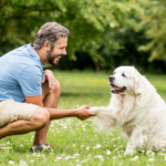 The Importance of Trainability and Intelligence in Guide Dogs' Success